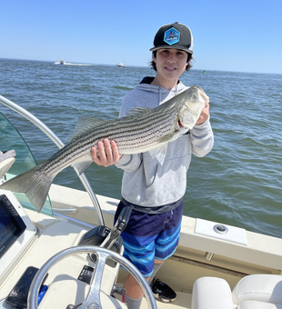 Striper Fishing Bliss in MA